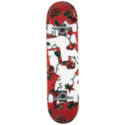 DGK 7.5 Bloom Complete skateboard