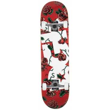 DGK 7.5 Bloom Skateboard complet