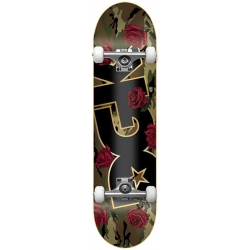 DGK 8.25 Romance Compleet skateboard