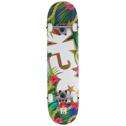 DGK 8.25 Vacation Komplettes Skateboard