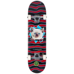 Enjoi 7.375 X 29.78 Kitten Ripper Black Red Skateboard complet