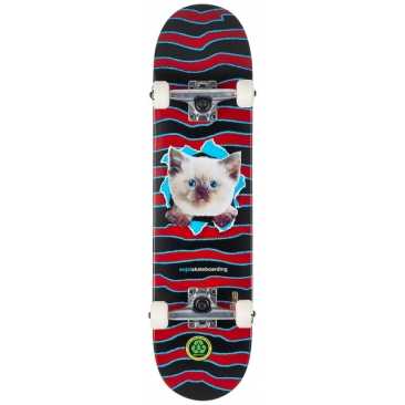 Enjoi 7.375 X 29.78 Kitten Ripper Black Red Skateboard complet