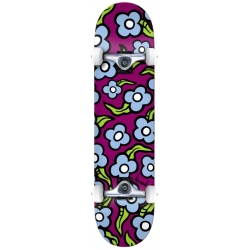 Krooked 7.75 X 31.6 Wildstyle Md Compleet skateboard