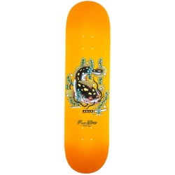 5Boro Fish Series Brooklyn Catfish 8.25 X 32 Skateboard bord