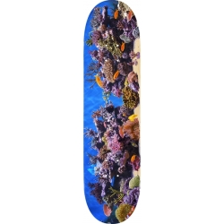 Mini Logo Fin Fur Feather 18 Fish Tank 7.75 X 31.08 Planche Skateboard