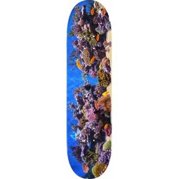 Mini Logo Fin Fur Feather 18 Fish Tank 7.75 X 31.08 Planche Skateboard