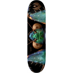 Powell Peralta Flight Biss Bark Mantis 8.75 X 32.95 Tavola da skateboard