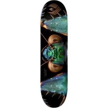 Powell Peralta Flight Biss Bark Mantis 8.75 X 32.95 Skateboard Deck