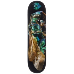 Powell Peralta Flight Biss Cuckoo Bee 8.0 X 31.45 Skateboard Deck