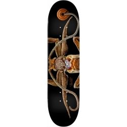 Powell Peralta Ps Biss Marion Moth 8.25 X 31.95 Planche Skateboard