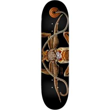 Powell Peralta Ps Biss Marion Moth 8.25 X 31.95 Planche Skateboard