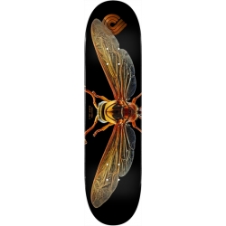 Powell Peralta Ps Biss Potter Wasp 8.0 X 31.45 Planche Skateboard