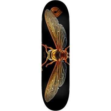 Powell Peralta Ps Biss Potter Wasp 8.0 X 31.45 Planche Skateboard