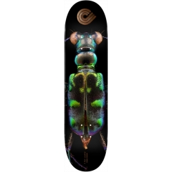 Powell Peralta Ps Biss Tiger Beetle 8.25 X 31.95 