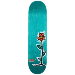 Real Regrowth 8.06 X 31.8 Tabla de skate