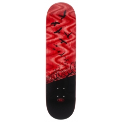 Real Set Free Specrum Red 8.06 X 31.5 Tavola da skateboard