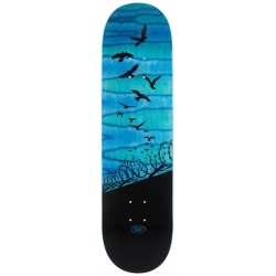 Real Set Free Spectrum Blue 8.25 X 32 Planche Skateboard