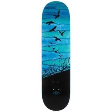 Real Set Free Spectrum Blue 8.25 X 32 Planche Skateboard