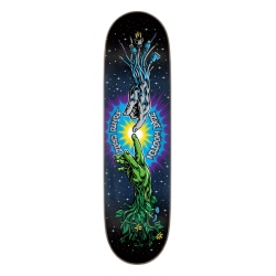 Santa Cruz Wooten Contact 8.50 X 32.20 Planche Skateboard