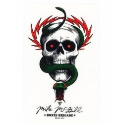 McGill - Skull